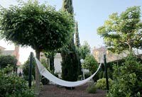 jardin con cama